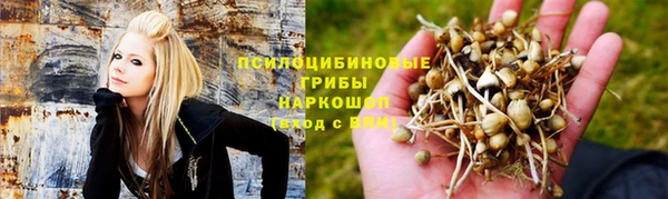 прущая мука Абаза