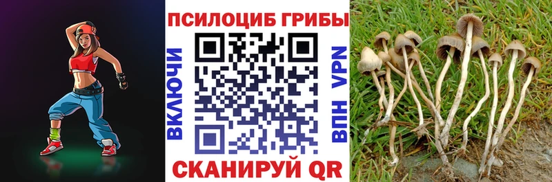 Псилоцибиновые грибы прущие грибы  как найти   Новотроицк 