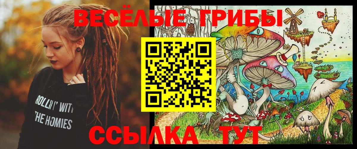 Новотроицк  что такое наркотик  Галлюциногенные грибы Psilocybe  Вход с VPN  Галлюциногенные грибы прущие грибы 
