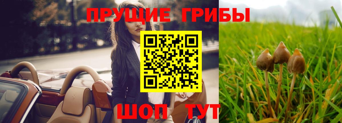 Галлюциногенные грибы прущие грибы Новотроицк